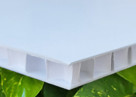 Corrugated & Honeycomb Biodegradable Boards