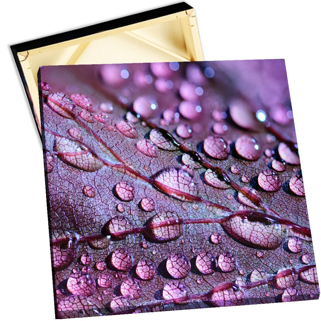 Artist Stretcher Bars For Canvas