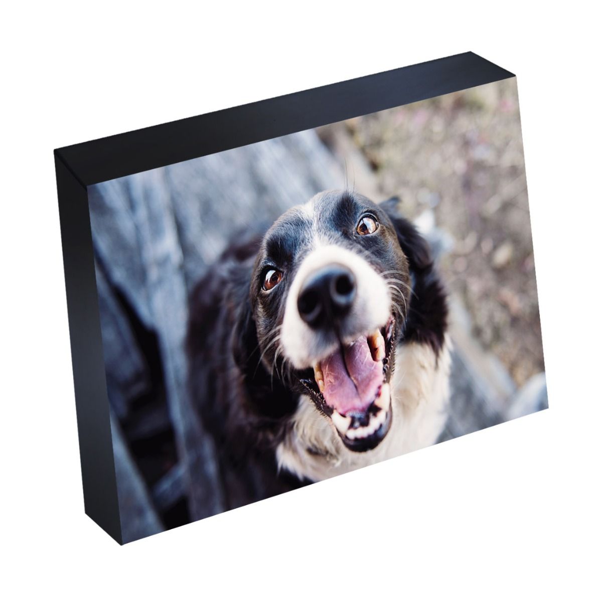 Silver Linings Photo Mounting Frame [Self-Adhesive, Black Wood, 6" x 8"] 10 /Box