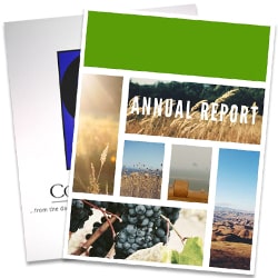 Custom Full-Color Coated Paper Report Covers